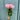 Harper Rose - Pale Pink - Bumble Living
