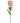 Harper Rose - Pale Pink - Bumble Living