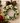 Hellebore Christmas Rose Wreath Felt Decoration - Bumble Living