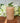 Honey Macon Pillar candle rustic 40 h - Bumble Living