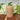 Honey Macon Pillar candle rustic 40 h - Bumble Living