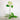 Imperial Hydrangea Stem - Ivory - Bumble Living
