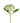 Imperial Hydrangea Stem - Ivory - Bumble Living