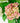 Imperial Hydrangea Stem - Light Pink - Bumble Living