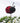Ladybird On A Wire Felt Decoration - Bumble Living