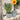 Large Zinc Plant Pot - Bumble Living