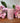 Leaf Pattern Macon Dusty Rose Pillar Candle 45 h - Bumble Living