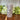 Leaf Pattern Macon Linen Pillar Candle 64 h - Bumble Living