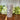 Leaf Pattern Macon Linen Pillar Candle 64 h - Bumble Living