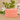 Marseille Soap Jasmin - Bumble Living