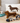 Medium Frankie the Long Sausage Dog - Bumble Living