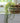 Medium Straw And Corn Basket Blue Stripe With Handles - Bumble Living
