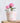 Mini Old Style Dutch Pots Rose Pink 3 Assorted Styles - Bumble Living