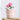 Set of three mini Dutch pots in rose pink, featuring old-style designs from Grand Illusions, perfect for decorative or small plant displays.