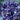 Artificial Midnight Hydrangea Mophead Large Bloom on a single stem by Lotus Imports Ltd, showcasing dark, vibrant flower petals.