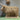 Morag Highland Cow Jute Natural - Bumble Living