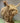 Morag Highland Cow Jute Natural - Bumble Living