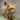 Morag Highland Cow Jute Natural - Bumble Living