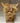Morag Teeny Highland Cow Jute Natural Ornament - Bumble Living