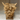 Small Highland Cow jute ornament from Aquarelle Home, featuring natural fibers and detailed animal design.
