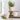Three old-style Dutch pots in rose pink with assorted designs by Grand Illusions, featuring decorative vintage ceramic styles.