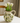 Olive Braided Handle Jug - Bumble Living