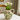 Olive Braided Handle Jug - Bumble Living