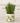 Olive Planter - Bumble Living