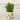 Olive Planter - Bumble Living