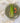 Pembroke Stoneware Dinner Plate Green - Bumble Living