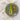 Pembroke Stoneware Dinner Plate Green - Bumble Living