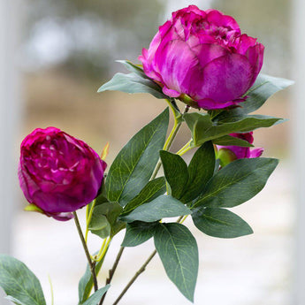 Dark pink artificial peony spray on a single stem from Grand Illusions, showcasing lush, realistic flower blossoms.