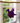 Purple Dragon with Wings Felt Decoration - Bumble Living