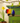 Rainbow Sheep Felt Decoration - Bumble Living