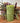 Rustic Pillar Candle Fern Green 70x130mm - Bumble Living