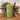 Fern green rustic pillar candle by Grand Illusions, 70x130mm, with a textured, natural wax finish and classic cylindrical shape.