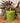 Rustic Pillar Candle Fern Green 70x75mm - Bumble Living