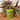 Rustic Pillar Candle Fern Green 70x75mm - Bumble Living