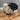 Small Sadie Sheep ornament by Aquarelle Home, featuring a cute, detailed sheep figurine for home décor.