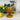 Saint - Émilion Vintage Baroque Embossed Coupe Glass Assorted Colours - Bumble Living