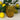 Saint - Émilion Vintage Baroque Embossed Tumbler Assorted Colours - Bumble Living