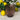 Saint - Émilion Vintage Baroque Embossed Tumbler Assorted Colours - Bumble Living