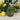Saint - Émilion Vintage Baroque Embossed Tumbler Assorted Colours - Bumble Living
