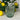 Chic Antique Saint-Émilion Vintage Baroque embossed glass tumbler in assorted colors, featuring intricate embossed details.