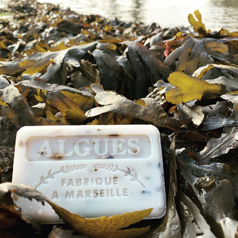 Chateau Du Savon Savon de Marseille Algues French soap with green algae in a traditional bar shape.