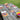 Set of 6 Raffia Placemats 22cm - Multicolour - Bumble Living