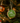 Sprout Hanging Felt Decoration - Bumble Living