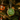 Amica Sprout hanging felt decoration featuring soft green and brown felt leaves for a charming, natural decor accent.