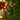 T - Rex with Present Felt Decoration - Bumble Living