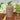Taupe Rustic Pillar Candle 40 hours - Bumble Living